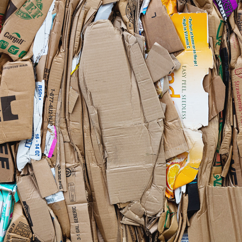 <p>Biobased<br />
FSC® -Certified<br />
Paper (Plastic-Free)</p> sleeve